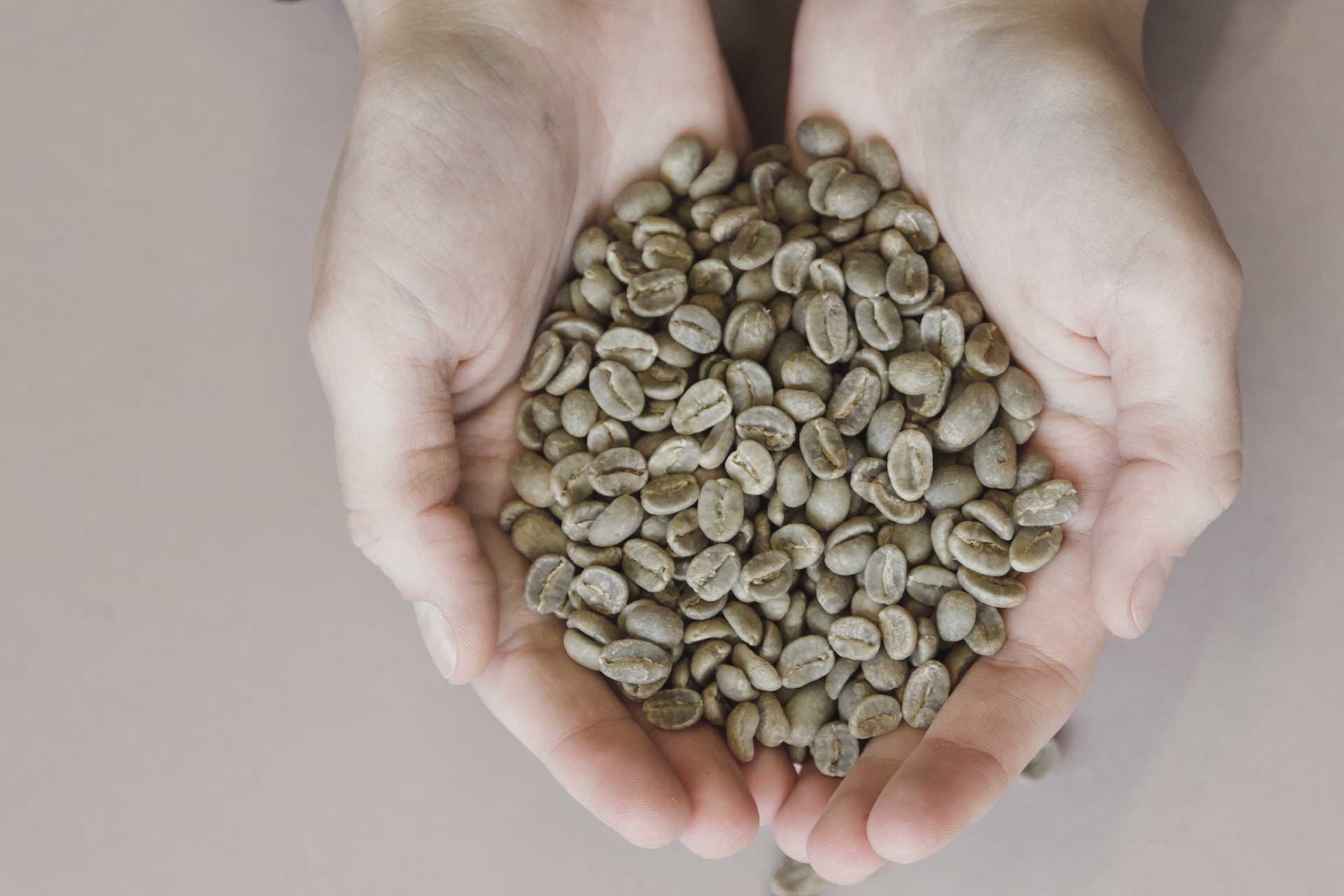 Why Barrel Aging Changes Coffee